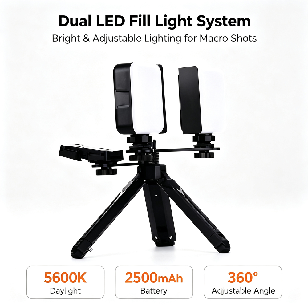 Lodden Bluetooth Zahn füllung  – Photography Lighting With Flash Bewertung und Preis