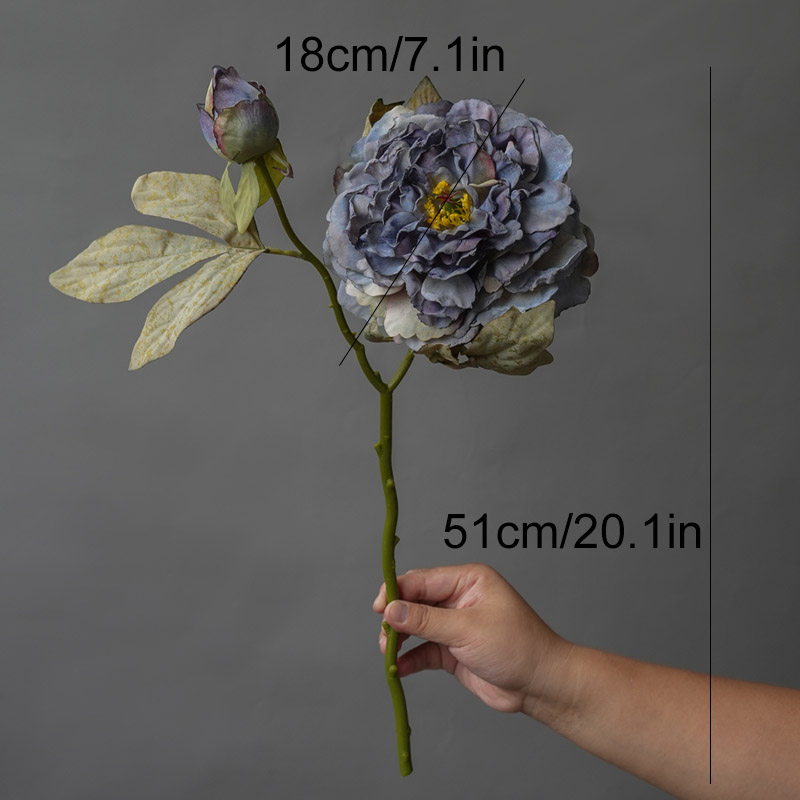 1PC Licht Luxus 2 Kopf Große P – Photography Lighting Simulator Free Bewertung und Preis